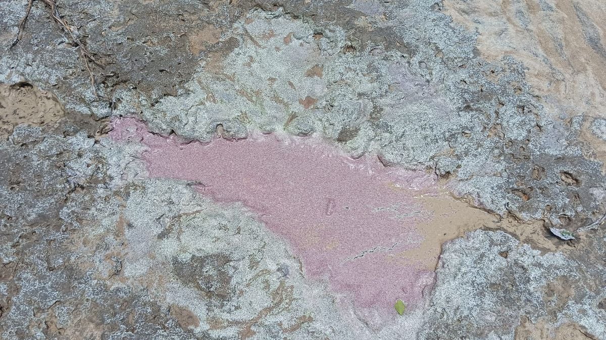 Material encontrado na areia da praia de Guaxindiba, em Conceição da Barra