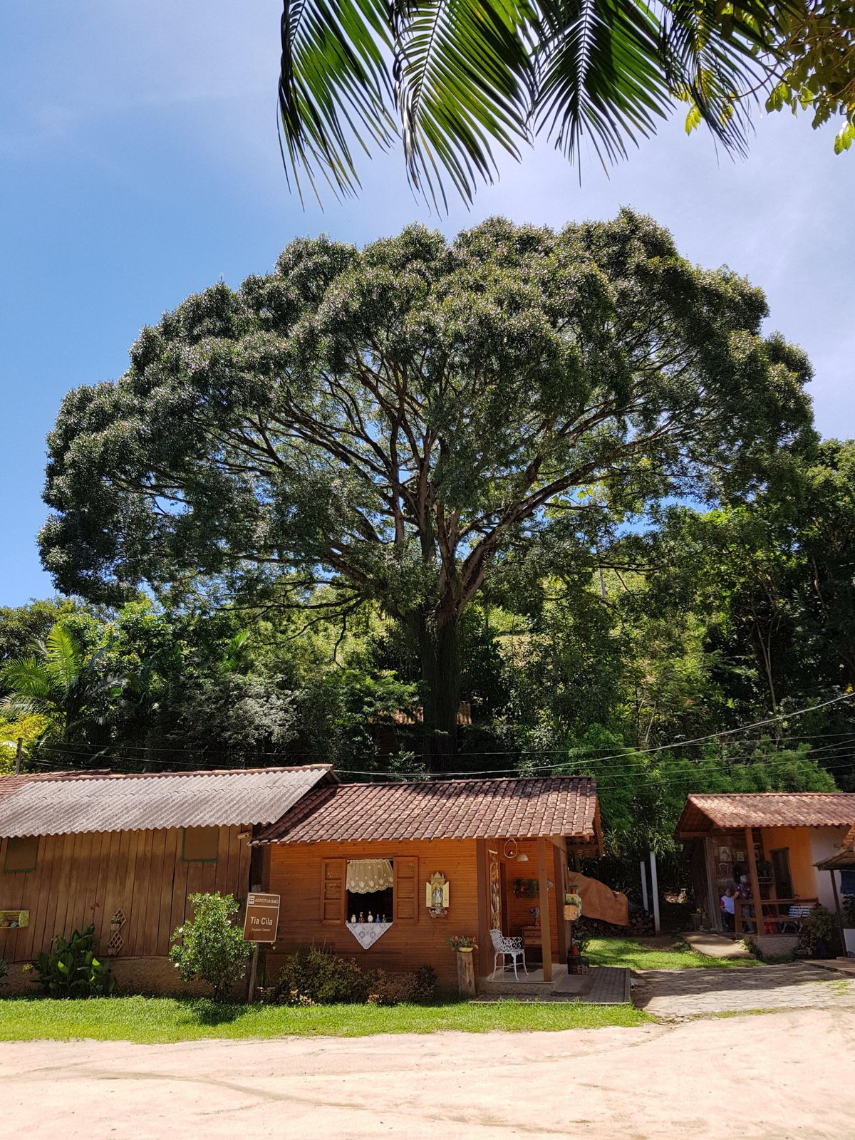 Tia Cila, em Venda Nova do Imigrante