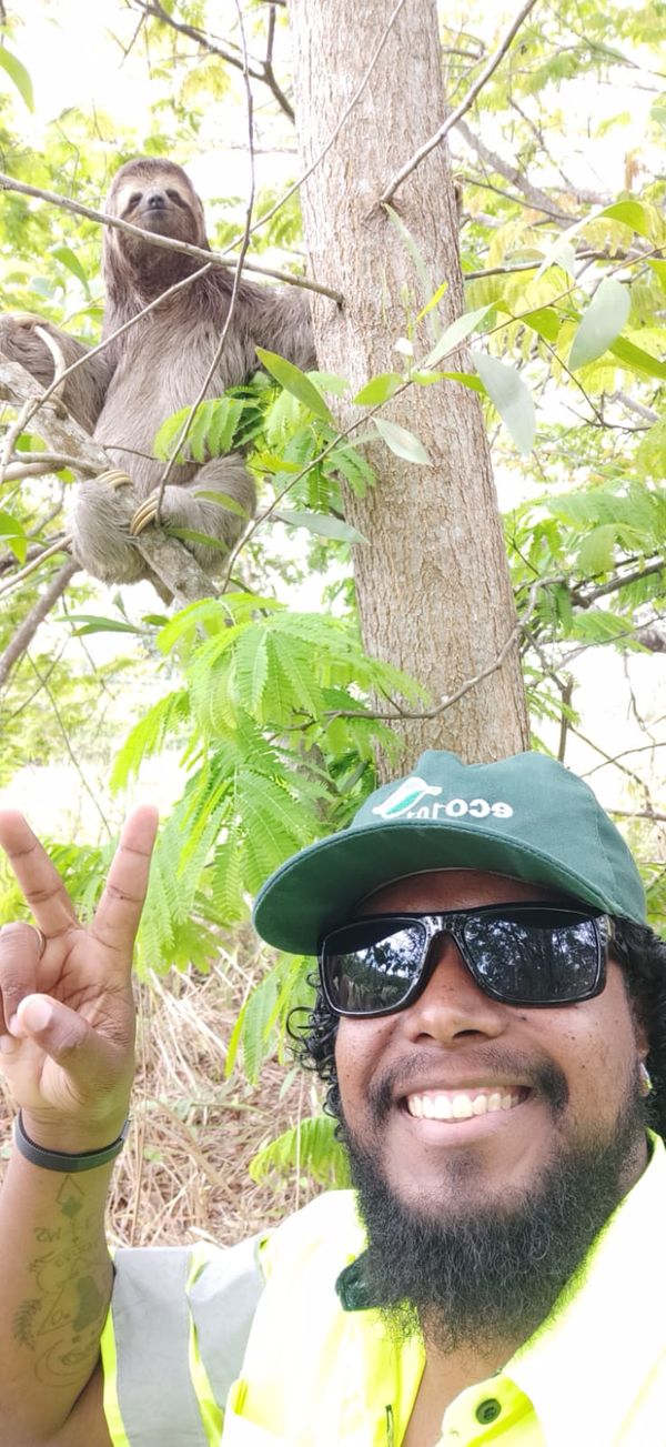  operador de tráfego Wesley Liria conseguiu fazer uma selfie com uma preguiça