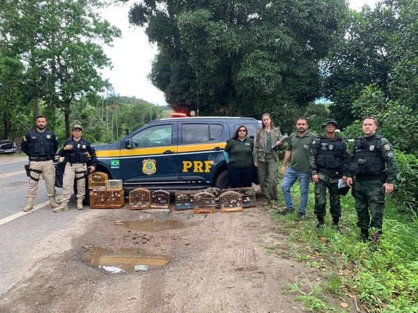 Foto mostra aves resgatadas durante a operação junto com equipe que atuou na operação