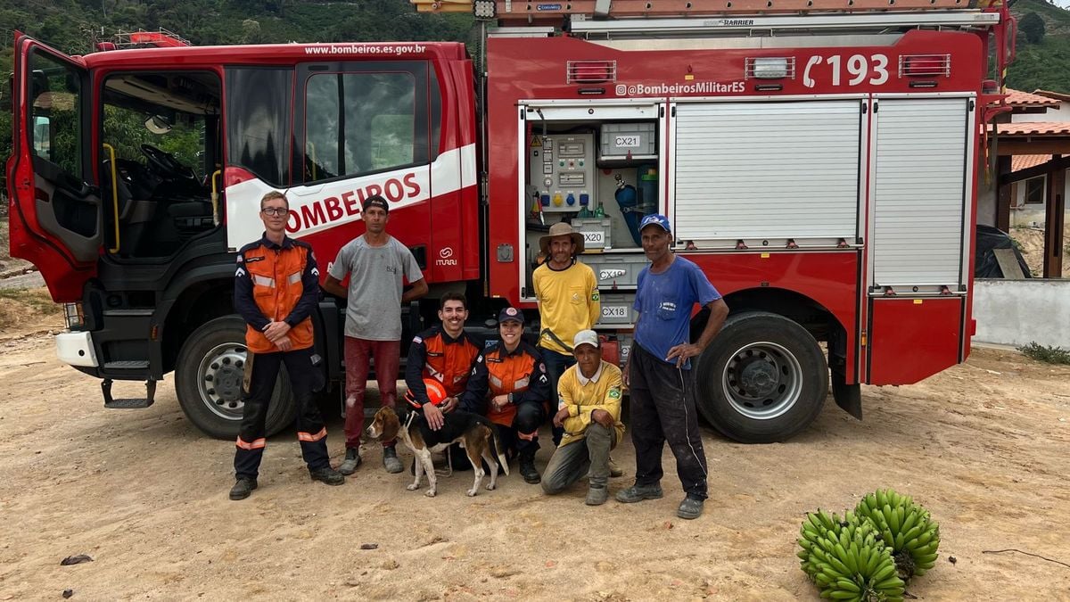 Cão é resgatado após ficar 6 dias preso em penhasco no interior de Brejetuba por Divulgação/ Corpo de Bombeiros 