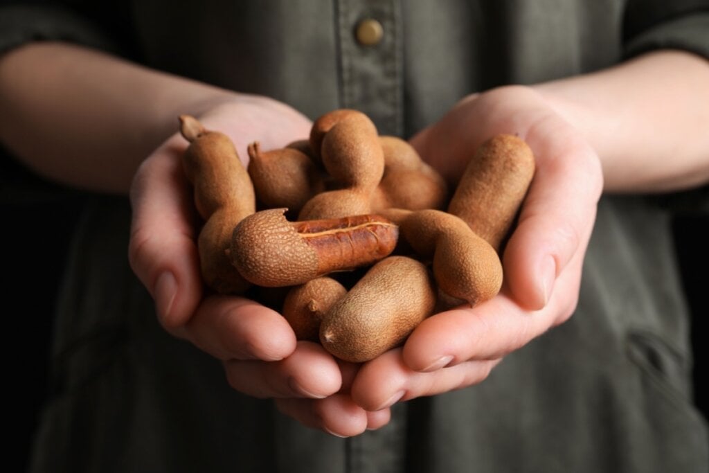 O tamarindo pode ser um grande aliado no tratamento do diabetes (Imagem: New Africa | Shutterstock)