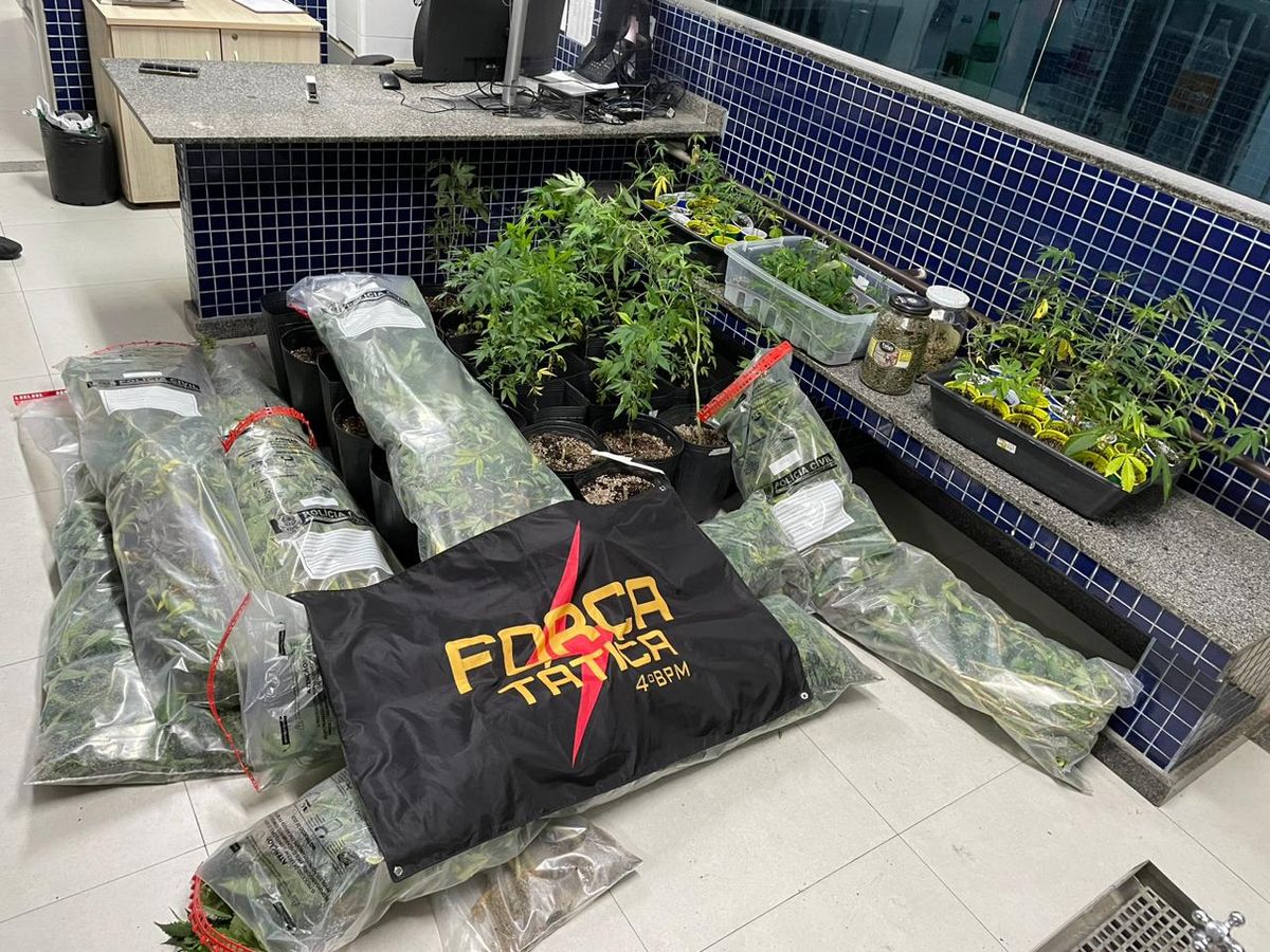 Polícia Militar fecha laboratório clandestino de plantio e cultivo de maconha