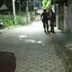 Imagem - Homem de Alagoas é morto com diversos tiros no interior de Linhares