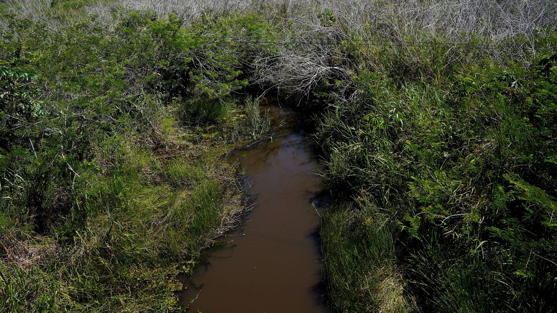 Território quilombola de Linharinho, em Conceição da Barra, Norte do Espírito Santo