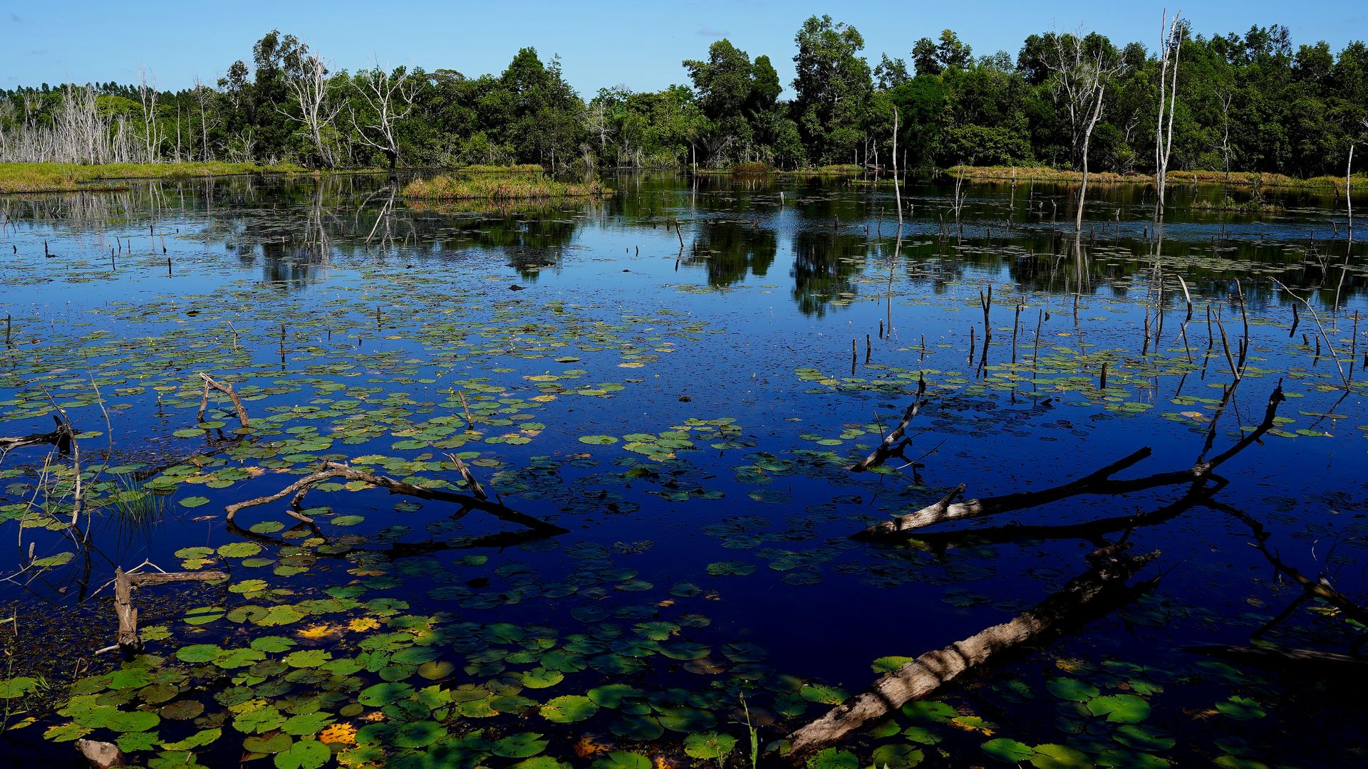 Território quilombola de Morro da Onça, em Conceição da Barra, Norte do Espírito Santo