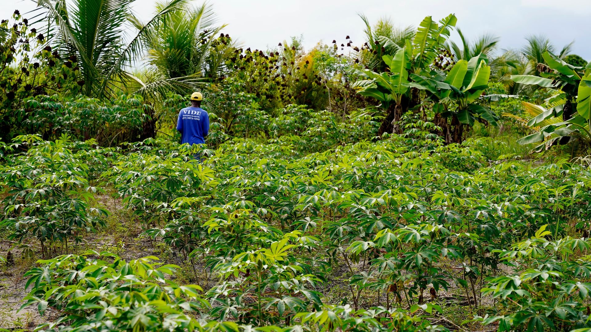 Território quilombola de São Domingos, em Conceição da Barra, Norte do Espírito Santo