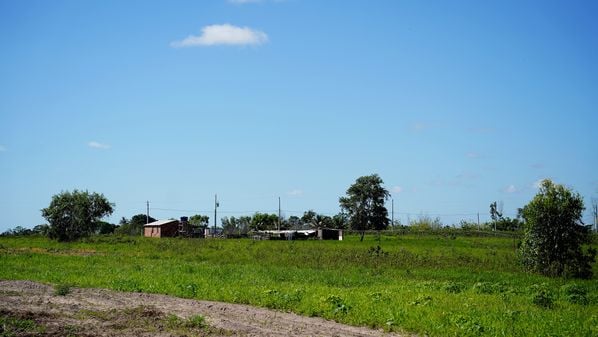 Levantamento do IBGE mostra ainda que a maioria dos domicílios não está conectada à rede geral de esgoto e os dejetos são jogados em fossas