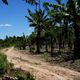 Território quilombola de Linharinho, em Conceição da Barra, Norte do Espírito Santo