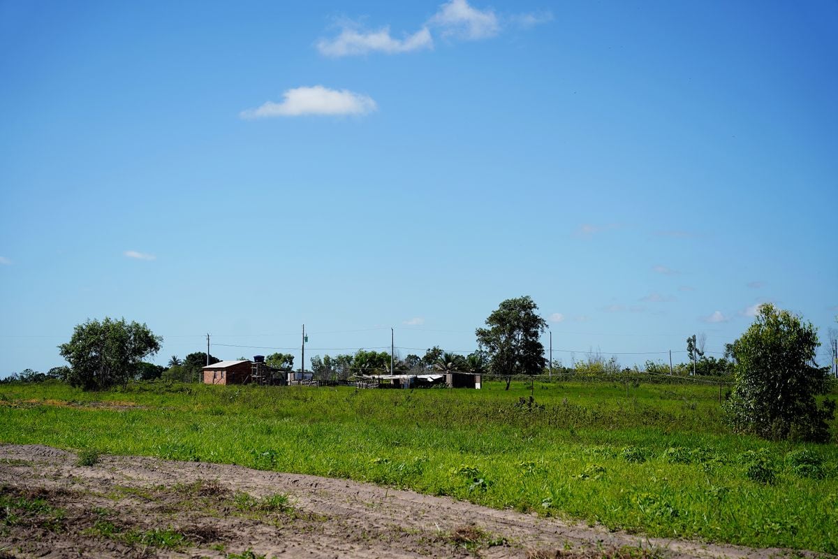 Território quilombola de Morro da Onça, em Conceição da Barra, Norte do Espírito Santo