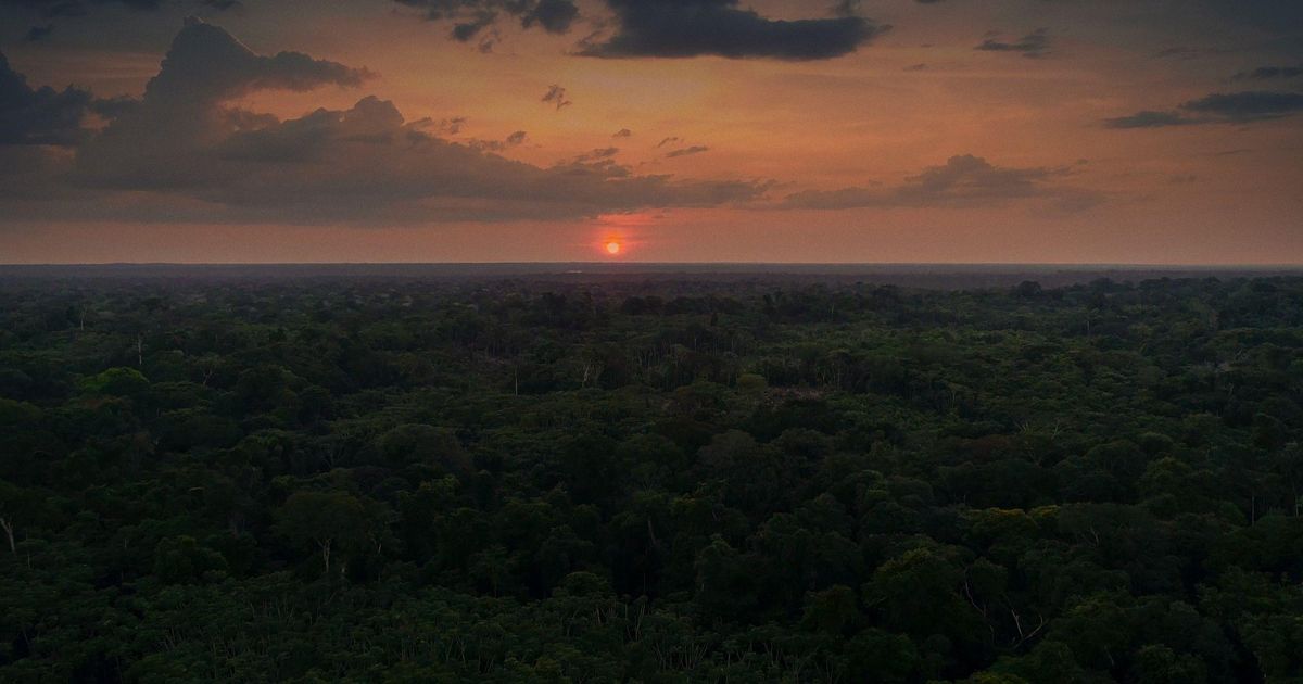 Imagem BBC Brasil