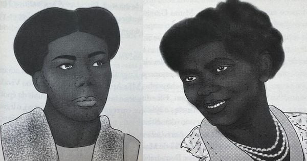 Livro traz 100 verbetes sobre personagens marcantes que se entrelaçam com a história do Brasil, enfatizando as diferentes formas de mobilização e resistência de mulheres 'afrodiaspóricas'