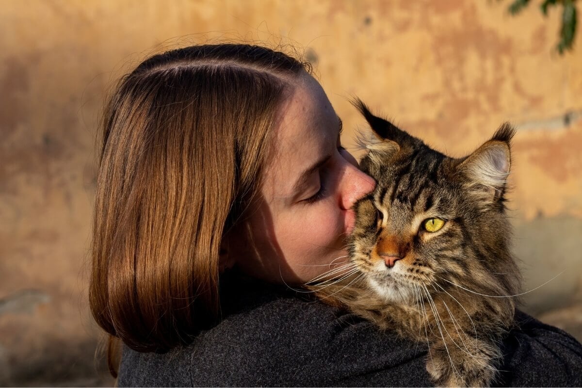 Algumas raças de gatos se destacam pela característica afetuosa, sendo uma escolha ideal para aqueles que buscam uma conexão mais próxima com o animal (Imagem: glebantiy | Shutterstock) 