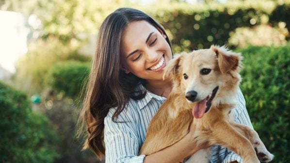 É importante ficar atento aos sintomas e levar o pet ao veterinário o mais rápido possível