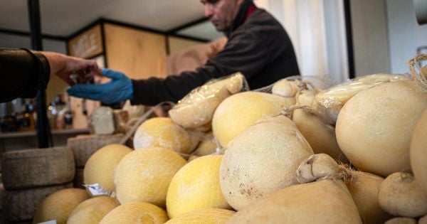 O problema não é novo, mas tende a aumentar, à medida que o queijo se torna mais caro.