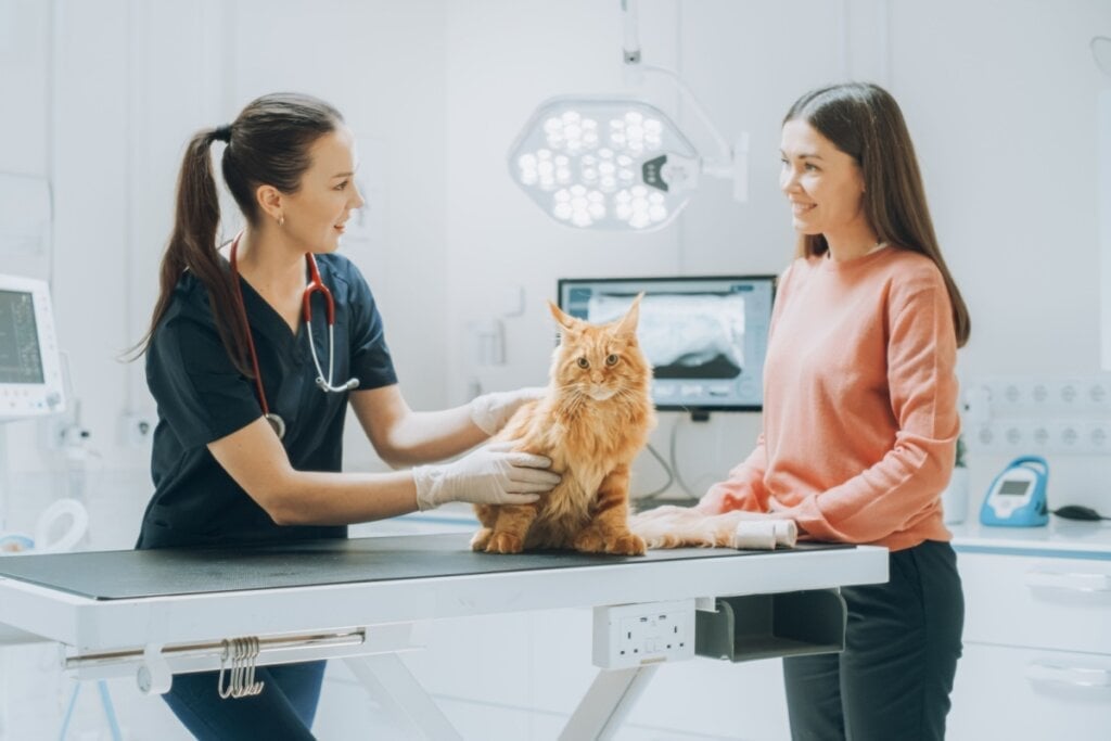 O tratamento em casos de envenenamento deve ser definido pelo veterinário (Imagem: Gorodenkoff | Shutterstock)