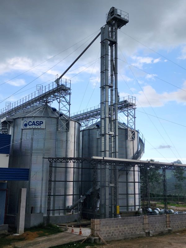 A silagem garante um melhor custo operacional e reduz riscos de acidente de trabalho