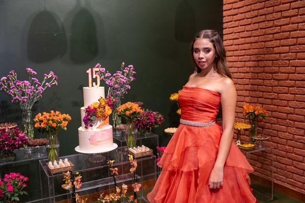 Aniversário de 15 anos de Marina Pitanga