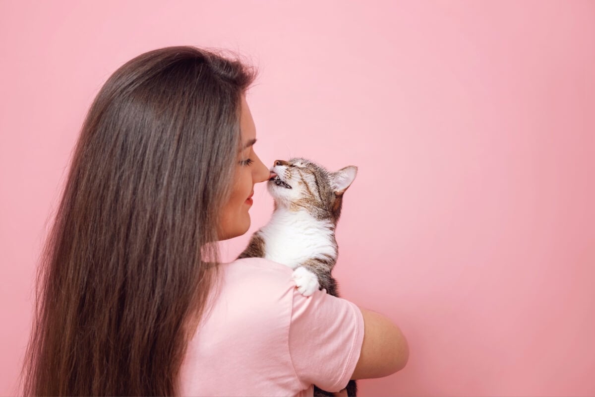 Os motivos pelos quais os gatos lambem seus tutores incluem desde cuidado com a limpeza até conexão emocional (Imagem: Denis Val | Shutterstock)