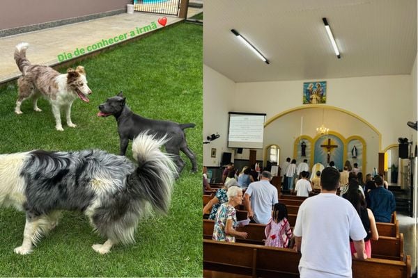 O ex-BBB Arthur Picoli postou fotos dos cachorros e também na igreja