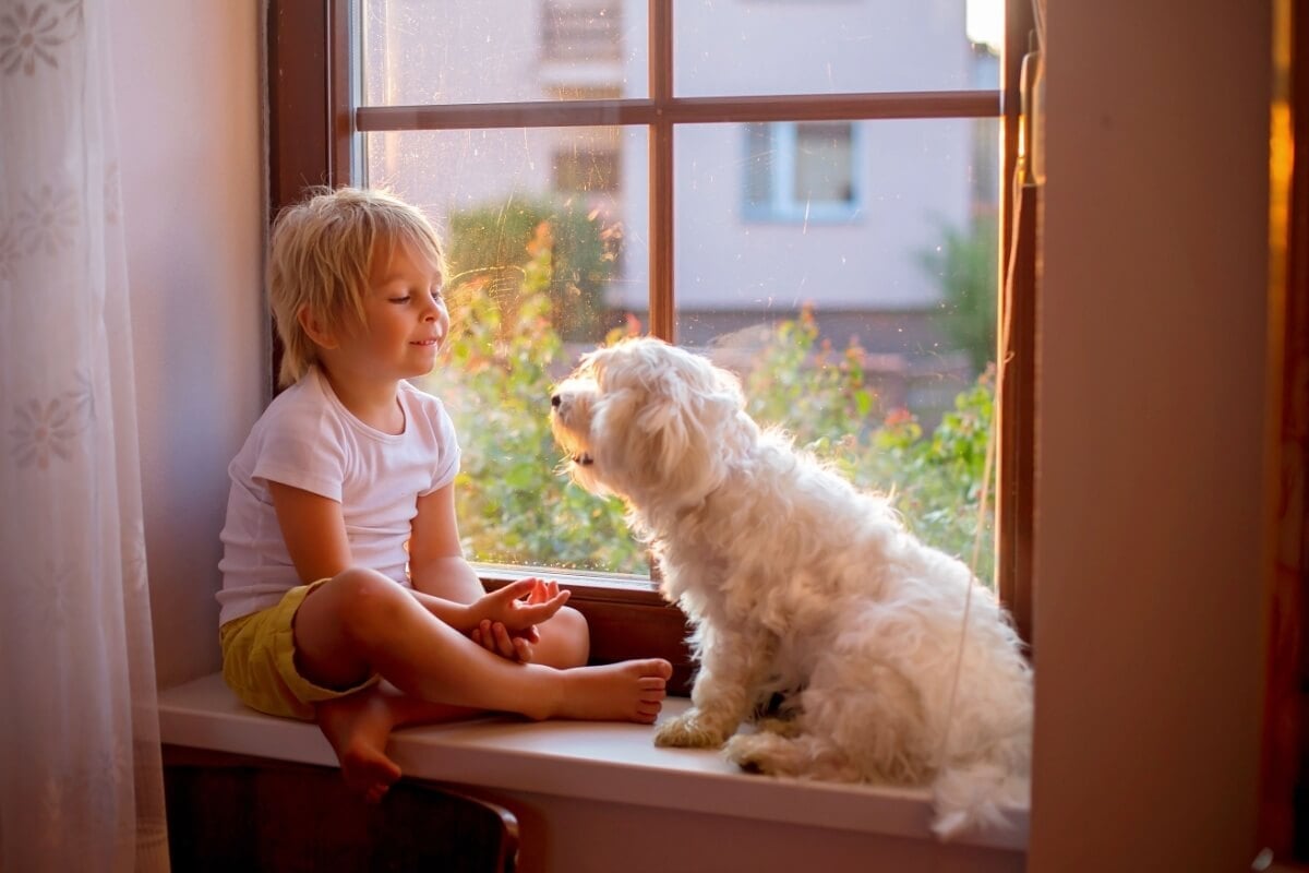 Os cães são ótimos companheiros para as crianças (Imagem: Tomsickova Tatyana | Shutterstock) 