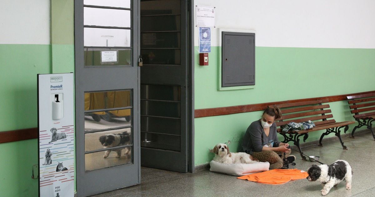 Imagem BBC Brasil