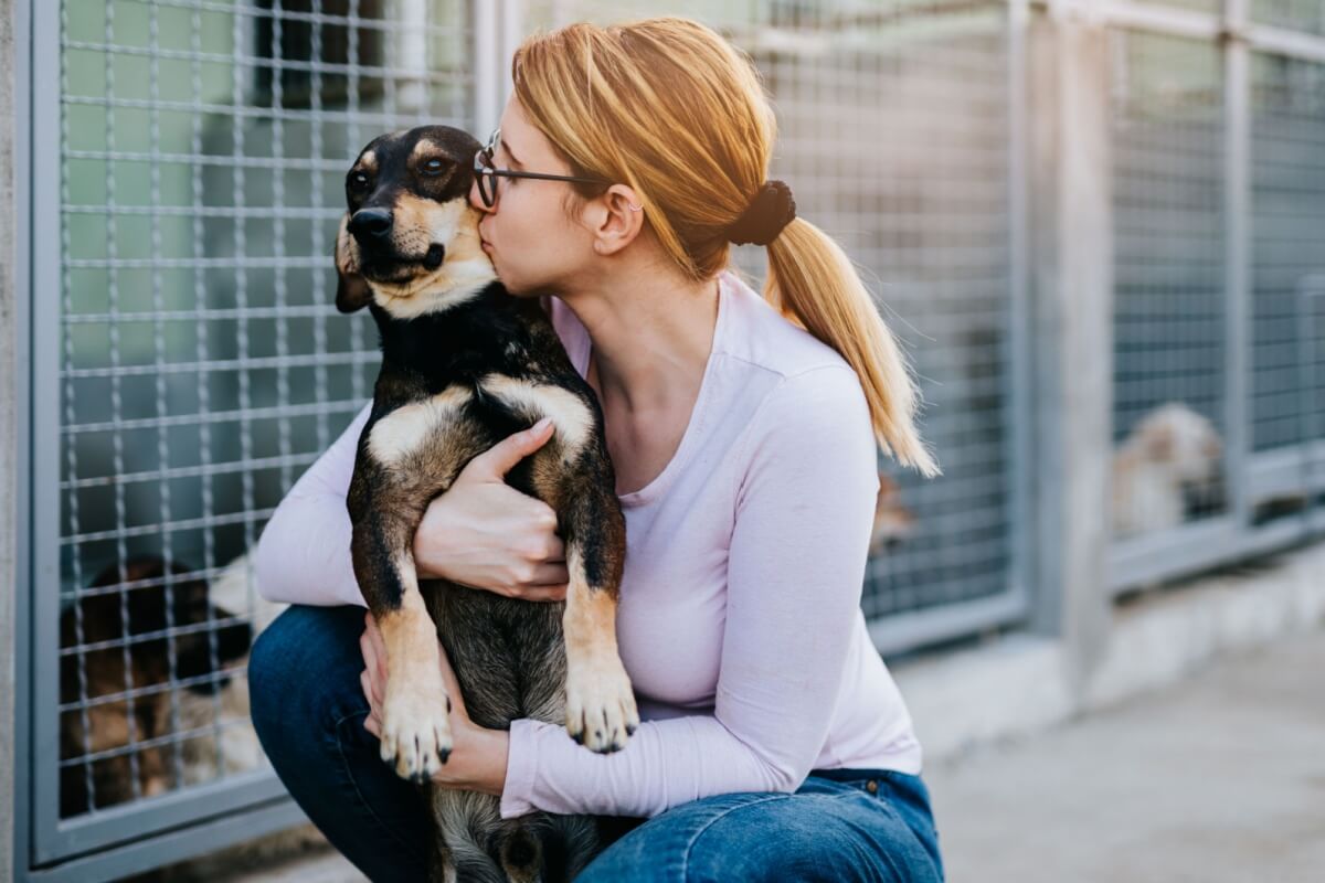 A compra de cachorros está associada a diversas questões negativas (Imagem: hedgehog94 | Shutterstock)