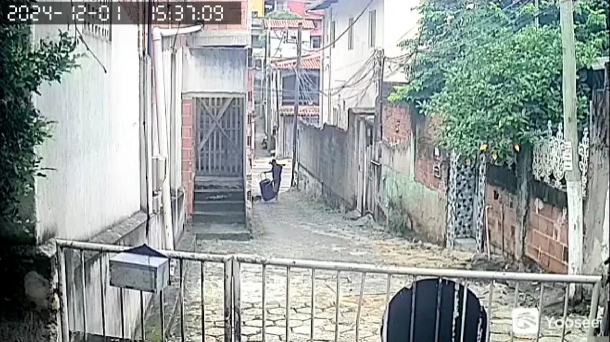 Homem abandona dois cães adultos e seis filhotes em Vitória