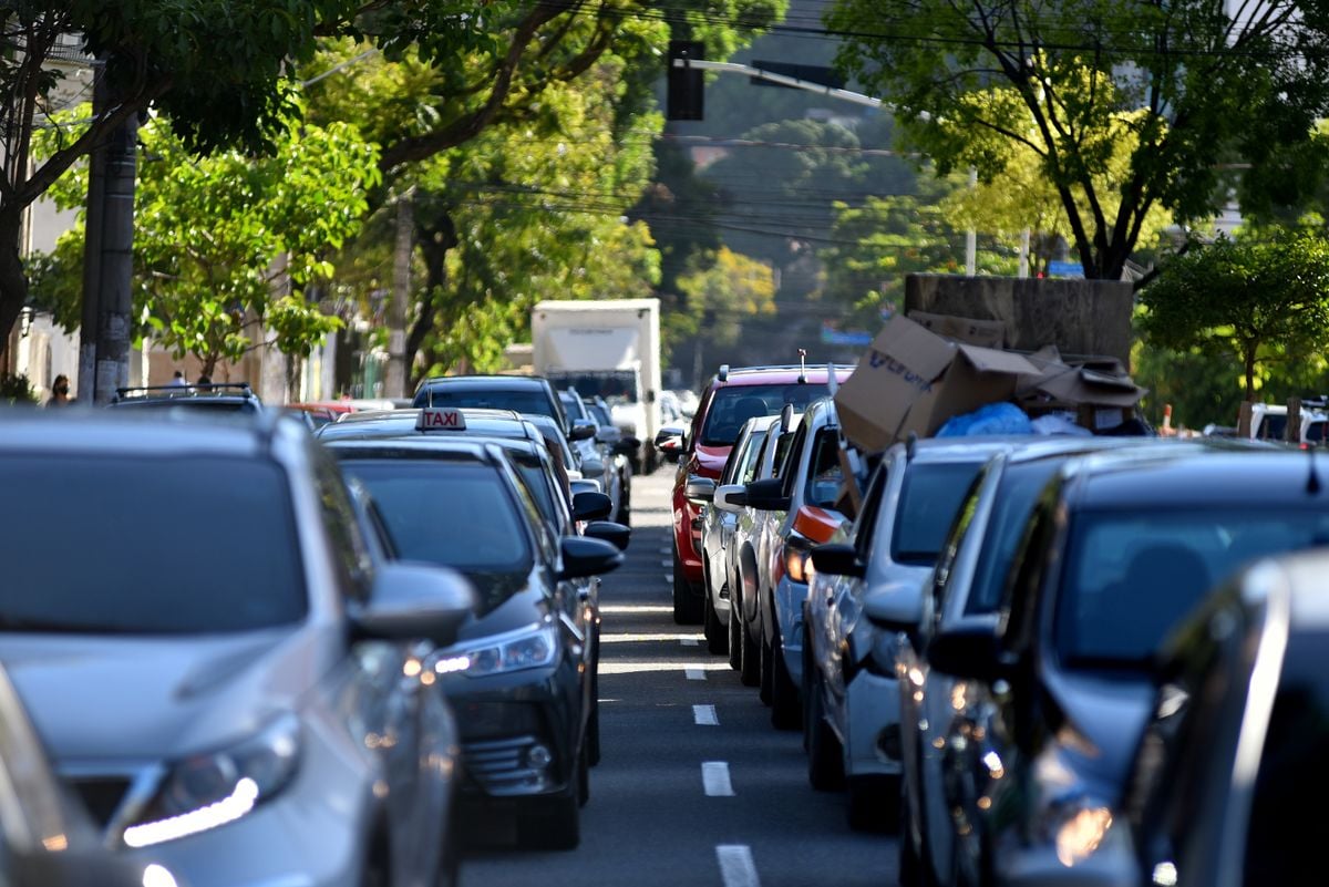 Motoristas poderão usar adesivo para indicar que aceitam transportar pets em Vitória