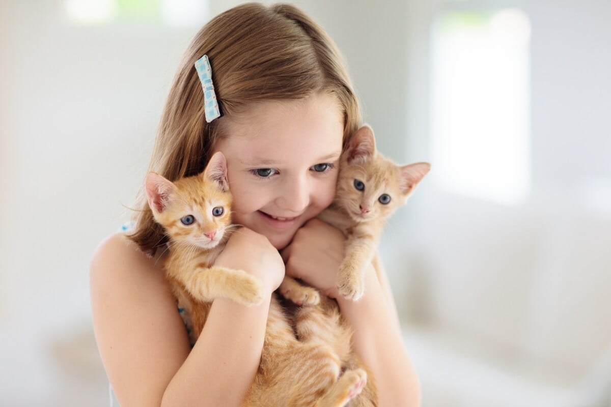 Adotar alguns cuidados na convivência dos gatos com as crianças ajuda a criar um ambiente equilibrado (Imagem: FamVeld 
 | Shutterstock) 