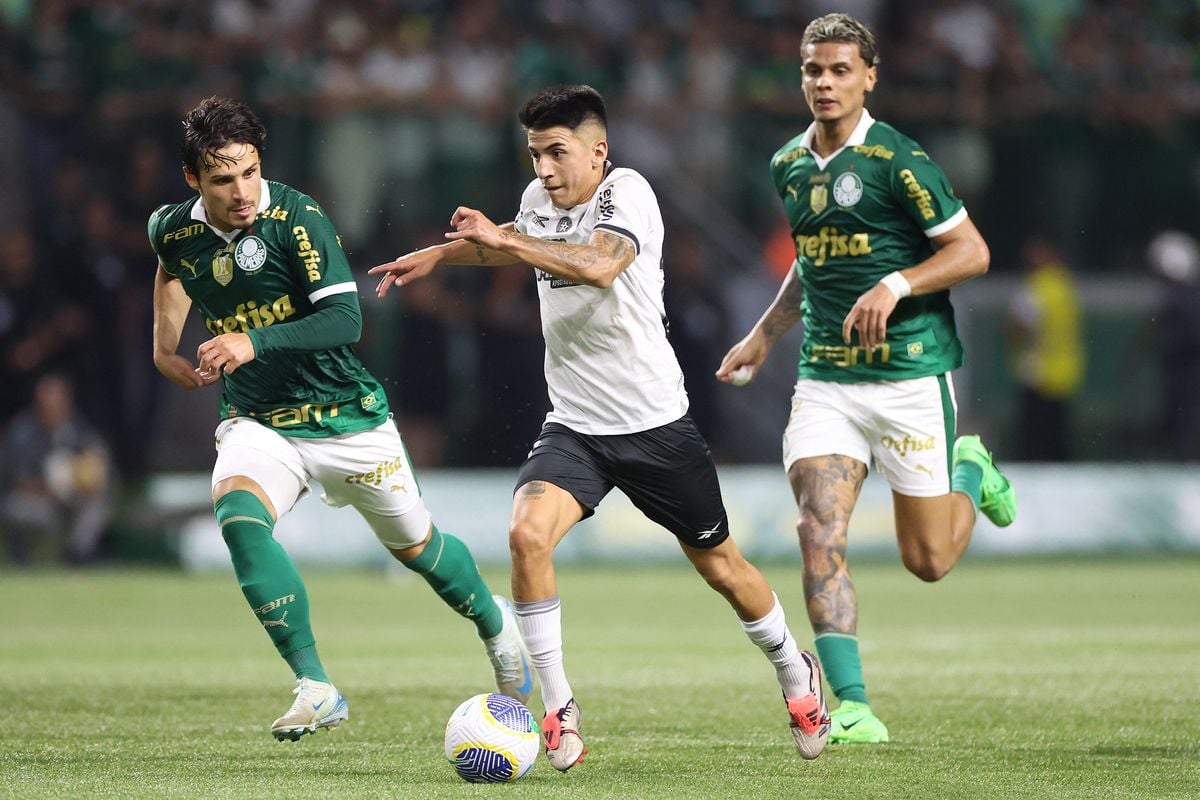 Palmeiras e Botafogo, pelo Brasileirão