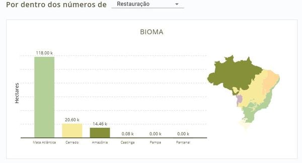 ES é o 3º Estado do país que mais restaurou áreas verdes