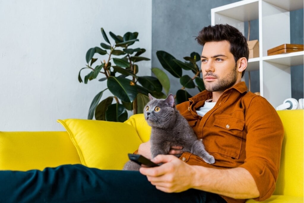 Gunther é o nome ideal para gatos que gostam de observar à distância (Imagem: LightField Studios | Shutterstock)