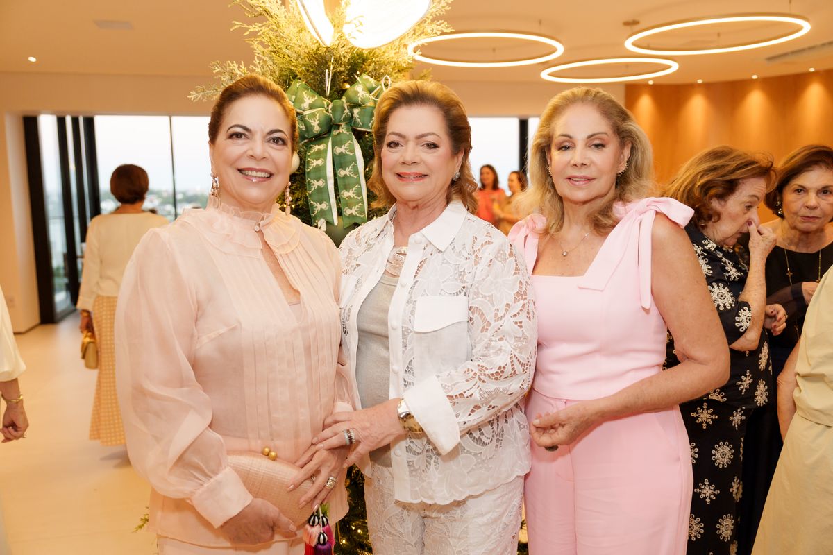 Letícia Pernambuco, Hélvia Abaurre e Vera Milled