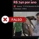 Imagem - Post mente ao afirmar que governo vai cobrar imposto de donos de pets