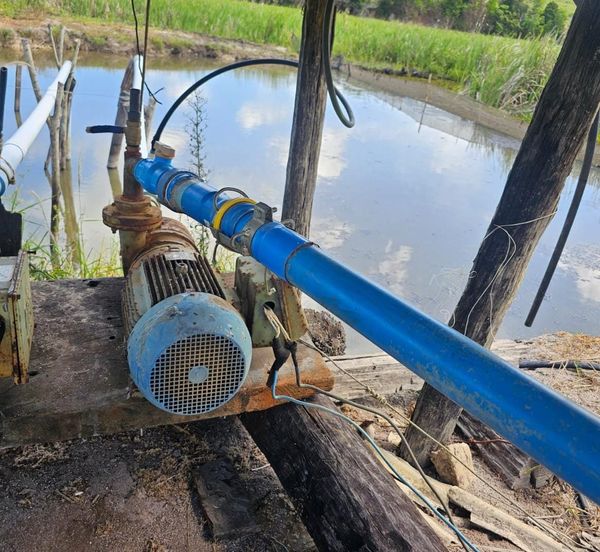 Homem é levado para delegacia após flagrante de furto de energia em Pinheiros 