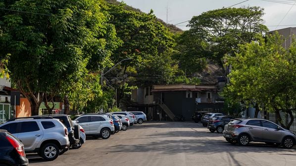 O nível de arborização no Brasil é muito baixo e desigual, com partes das cidades com muita área verde, enquanto outras são quase totalmente cinzas