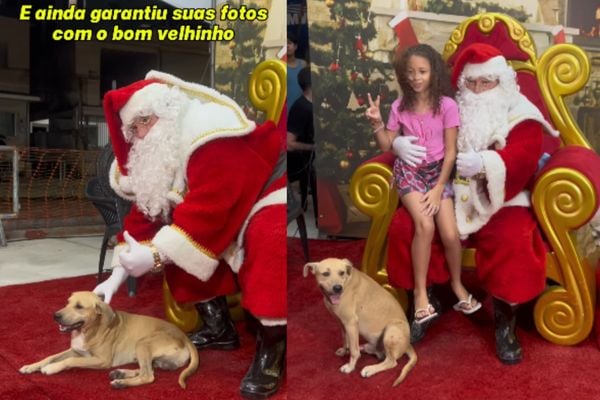 Cachorro caramelo se divertiu com o Papai Noel no Natal de São Pedro