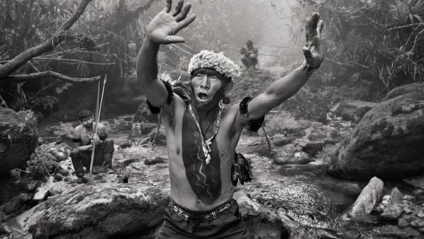 A Mosaico Fotogaleria apresenta a exposição "Outras Américas", 
de Sebastião Salgado. A exposição poderá ser visitada a partir do dia 20 de dezembro, esta sexta-feira