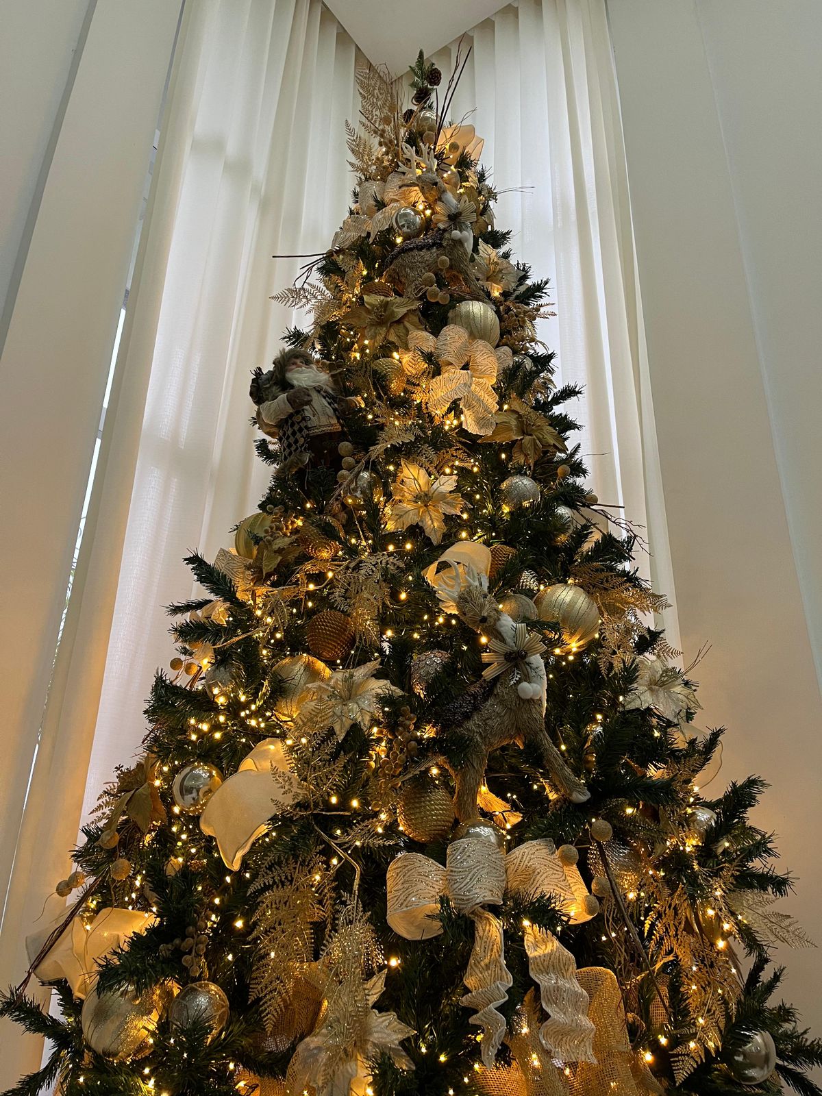 Árvores da natal feitas pelo designer Victor Norbim  por Acervo pessoal