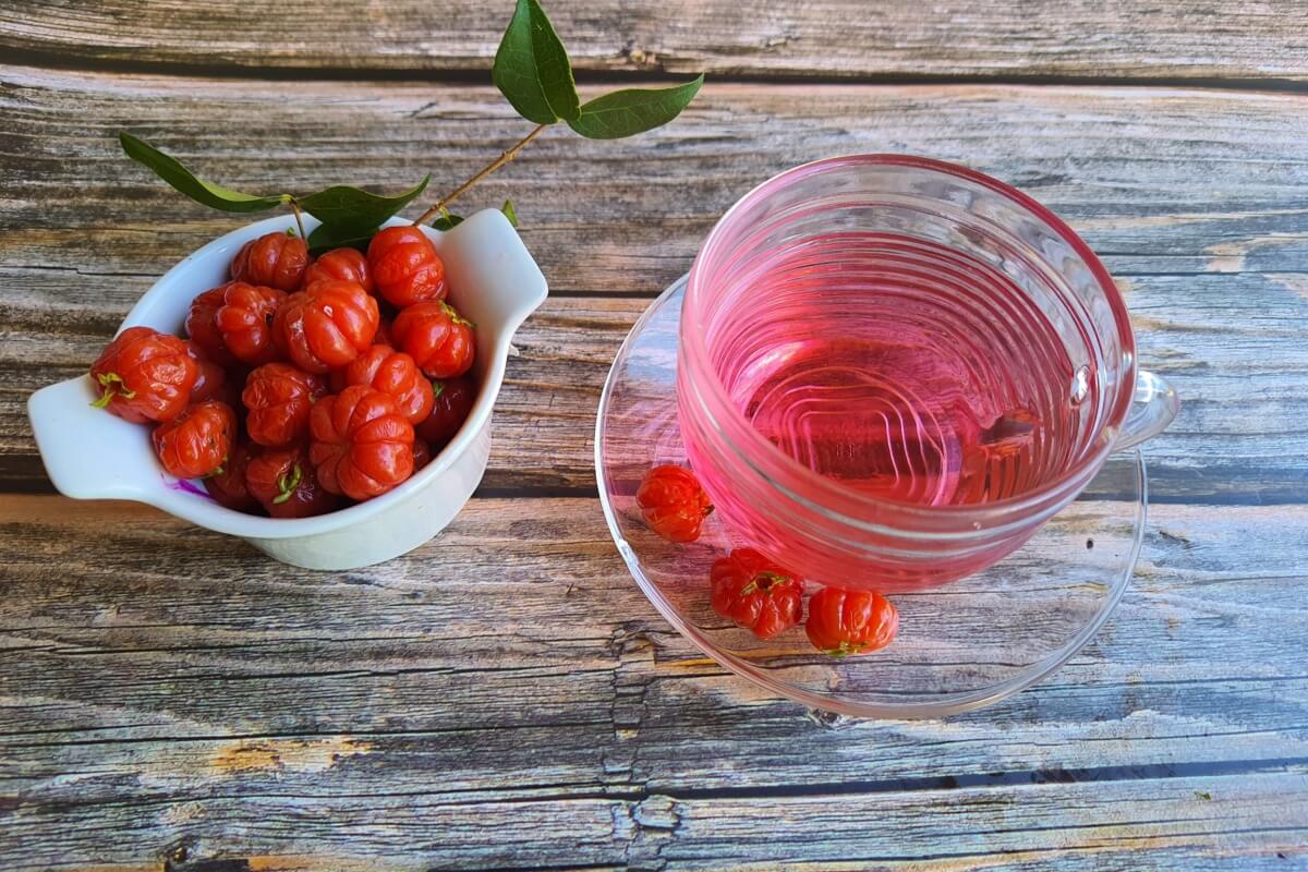 O chá de pitangueira, além de saboroso, é benéfico à saúde (Imagem: eliscora | Shutterstock)