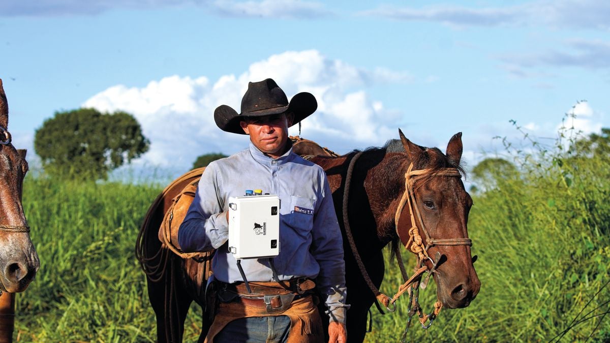 Tecnologia desenvolvida no Espírito Santo inovou na pecuária