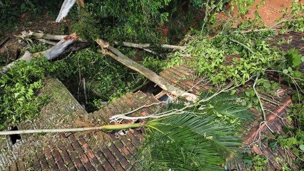 Uma árvore que caiu chegou a obstruir uma estrada, que já foi liberada; outra, destruiu um imóvel, que foi interditado, mas ninguém se feriu