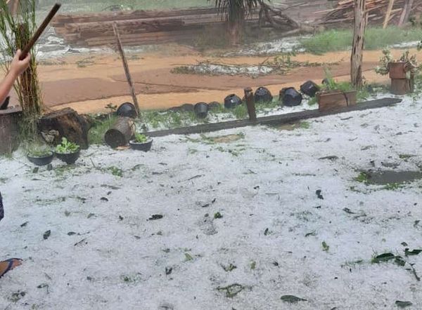 Temporal danificou plantações em Mimoso do Sul