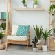 Imagem - 7 plantas para ter em apartamento