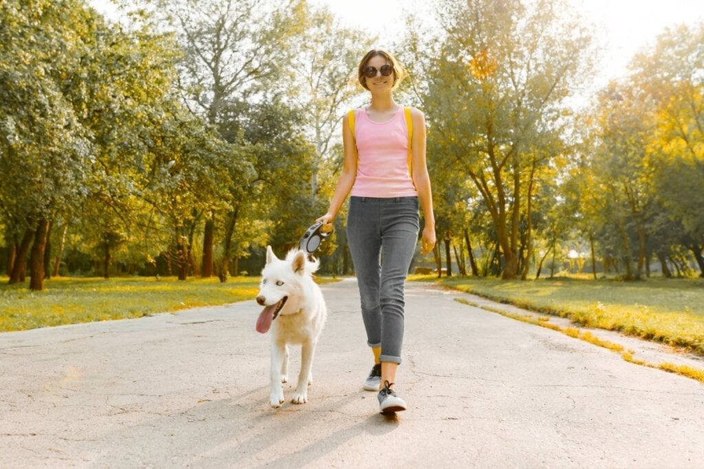 O tutor deve ensinar o cachorro a caminhar ao seu lado (Imagem: VH-studio | Shutterstock)