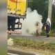 Imagem - Abelhas atacam pessoas em acidente na Rodovia do Sol em Guarapari; vídeo
