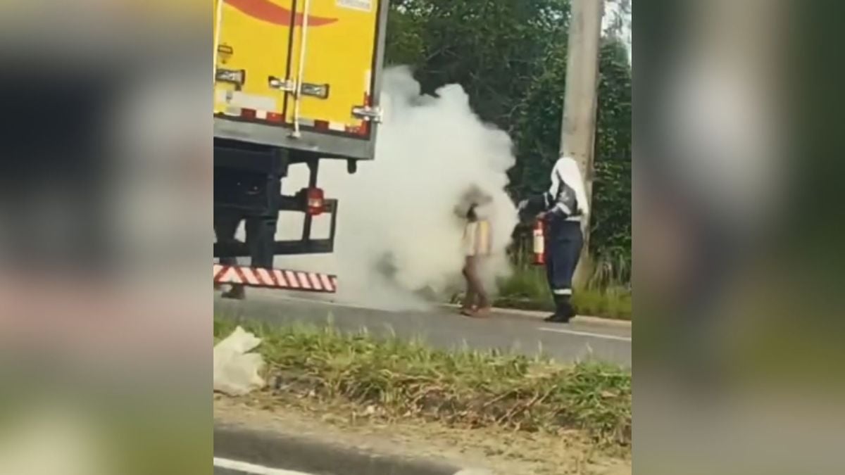 Abelhas atacaram pessoas na Rodovia do Sol
