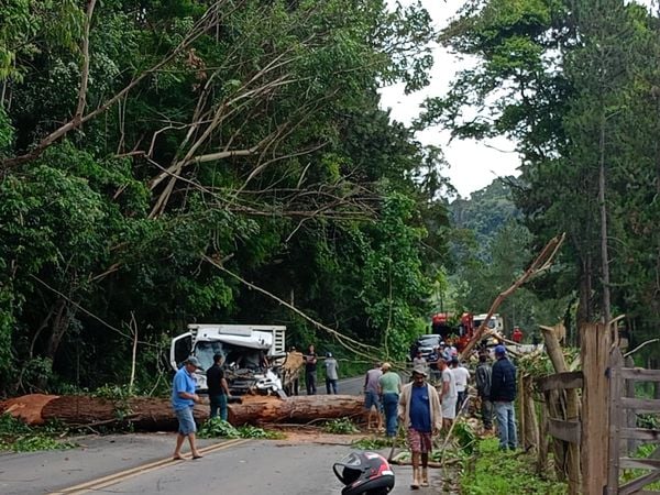 Árvore cai em cima de cabine de caminhão na zona rural de Domingos Martins