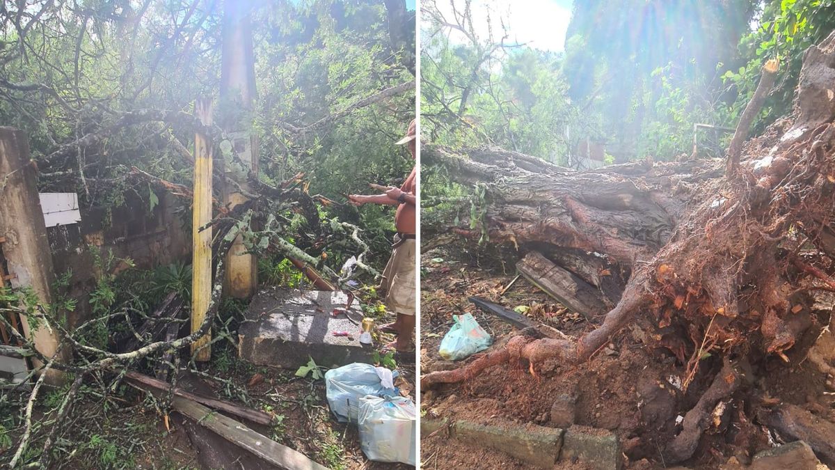 Estragos no bairro Piraqueaçu por Defesa Civil